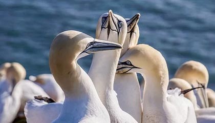 一个小细节讲明白：看懂沟通方式，你就明白为什么总有人吃亏