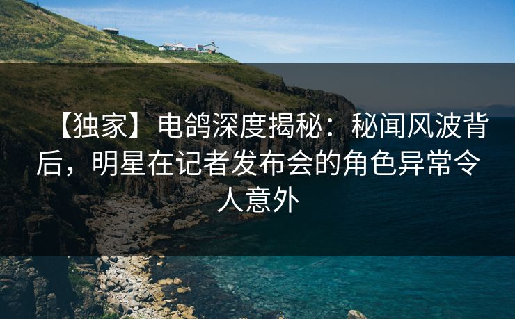 【独家】电鸽深度揭秘:秘闻风波背后,明星在记者发布会的角色异常令人意外
