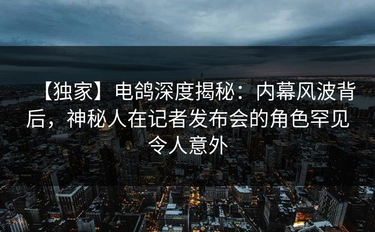 【独家】电鸽深度揭秘：内幕风波背后，神秘人在记者发布会的角色罕见令人意外