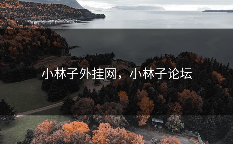 小林子外挂网，小林子论坛