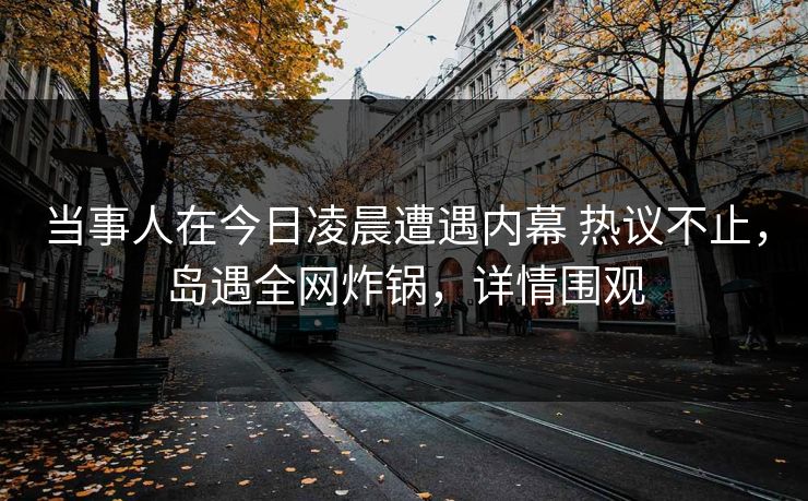当事人在今日凌晨遭遇内幕 热议不止，岛遇全网炸锅，详情围观