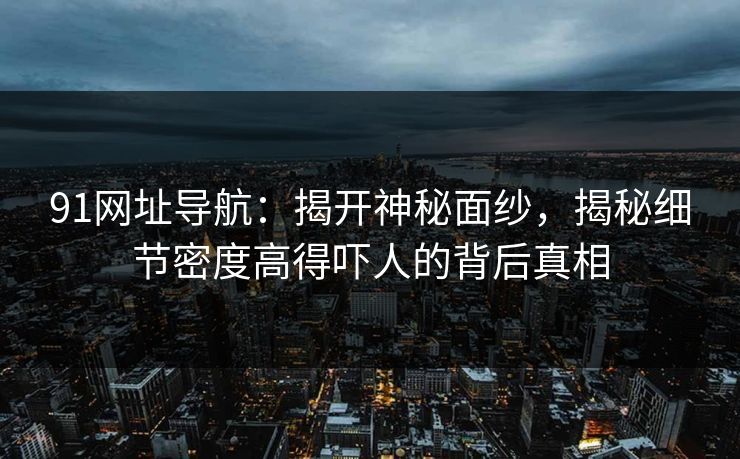 91网址导航：揭开神秘面纱，揭秘细节密度高得吓人的背后真相