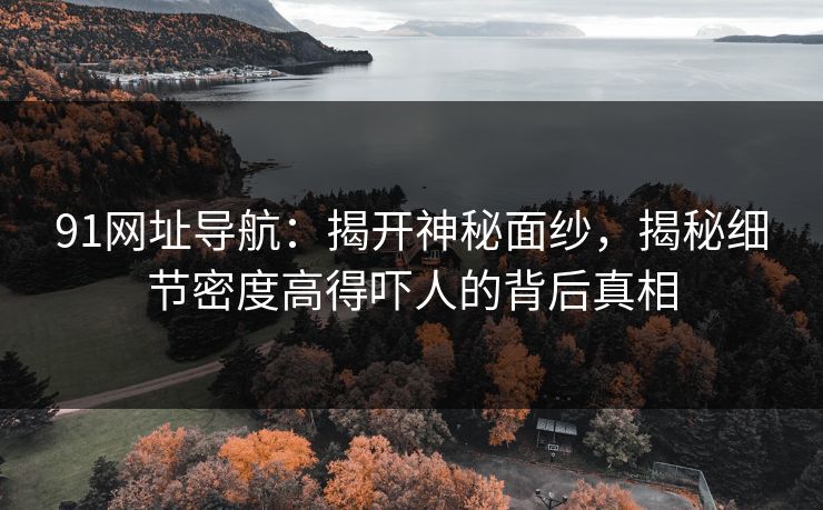 91网址导航：揭开神秘面纱，揭秘细节密度高得吓人的背后真相